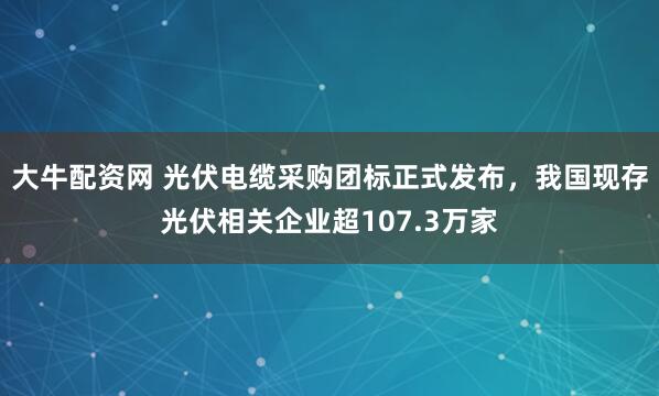 大牛配资网 光伏电缆采购团标正式发布，我国现存光伏相关企业超107.3万家