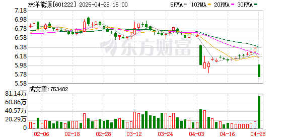 鑫耀证券 林洋能源4月28日龙虎榜数据