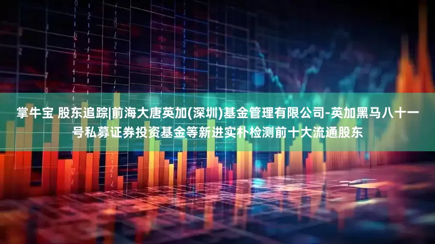 掌牛宝 股东追踪|前海大唐英加(深圳)基金管理有限公司-英加黑马八十一号私募证券投资基金等新进实朴检测前十大流通股东