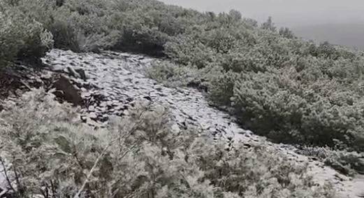 爱一配 黑龙江大兴安岭呼中区迎来金秋首场降雪