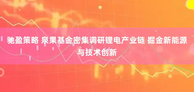 驰盈策略 泉果基金密集调研锂电产业链 掘金新能源与技术创新